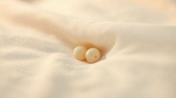 Guide pour détecter les œufs de punaises de lit